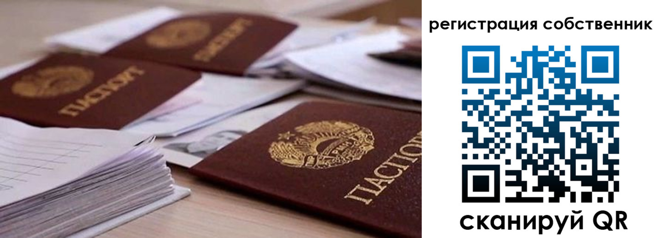 прописка штамп в Сертолово